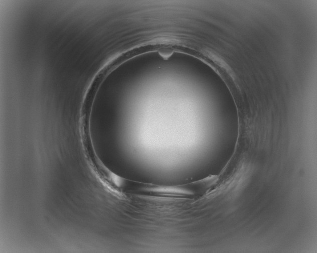 X0000071901029200607141329