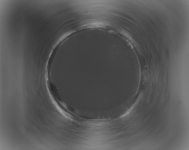 X0000071901034200607141329