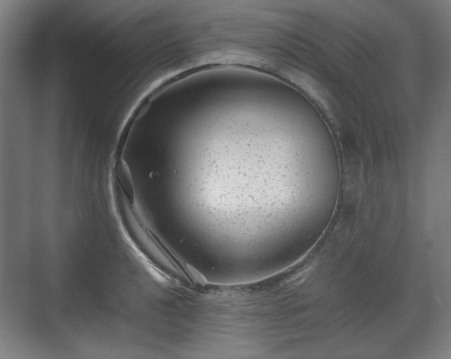 X0000071901040200607141329