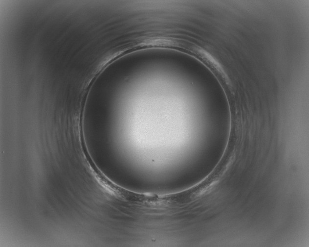 X0000071901041200607141329
