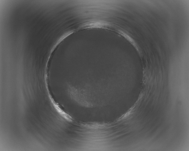 X0000071901042200607141329