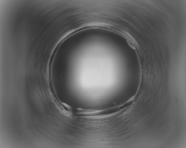 X0000071901044200607141329
