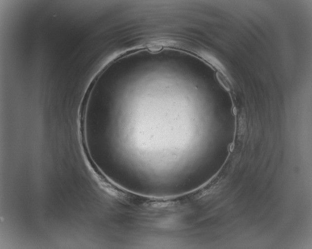 X0000071901047200607141329