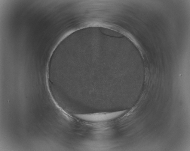 X0000071901048200607141329