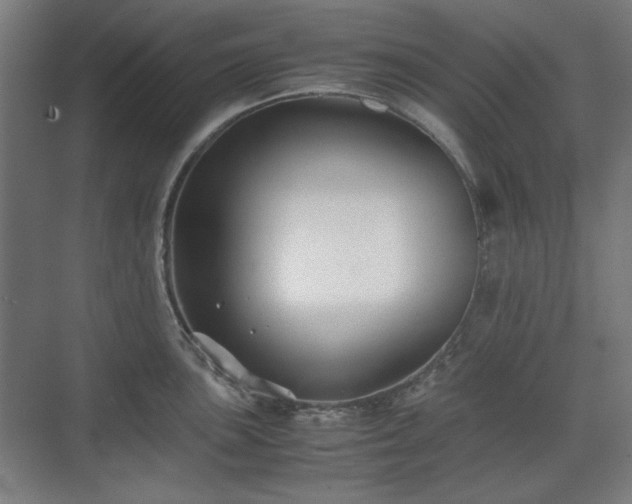 X0000071901051200607141329