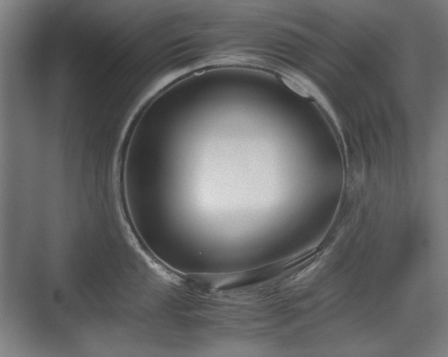 X0000071901053200607141329