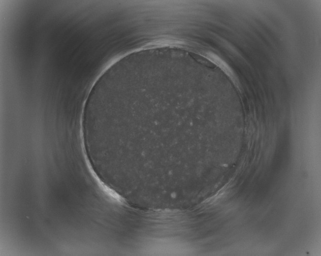X0000071901055200607141329
