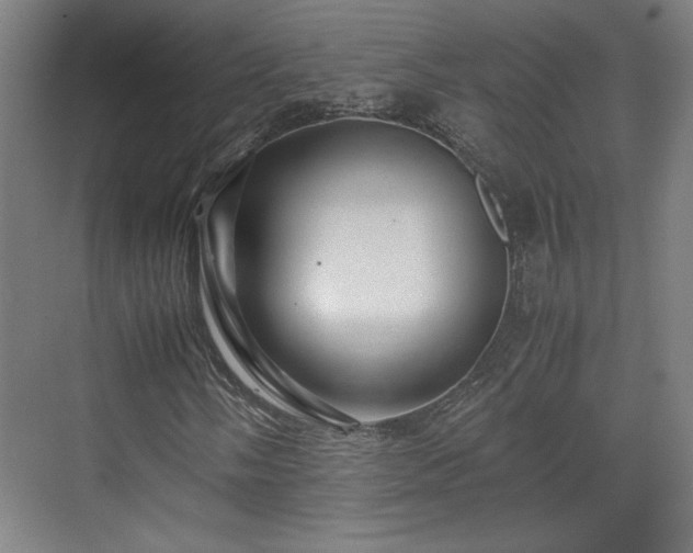 X0000071901058200607141328