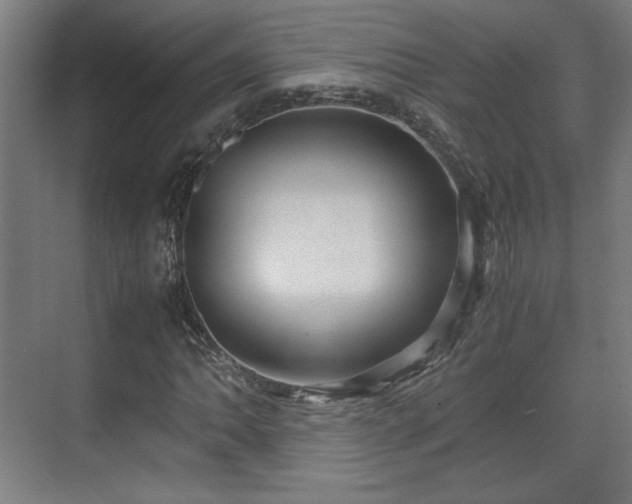 X0000071901062200607141328