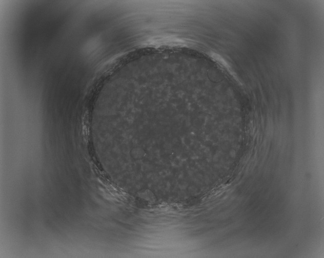 X0000071901063200607141328