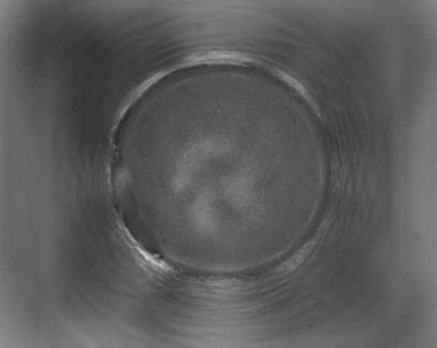 X0000071901066200607141328