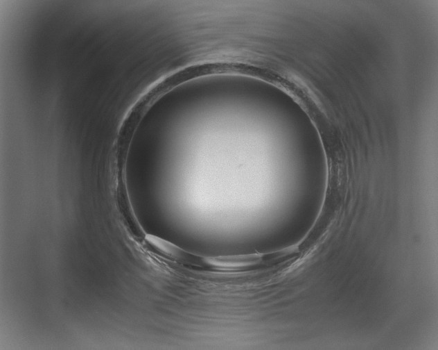 X0000071901069200607141328
