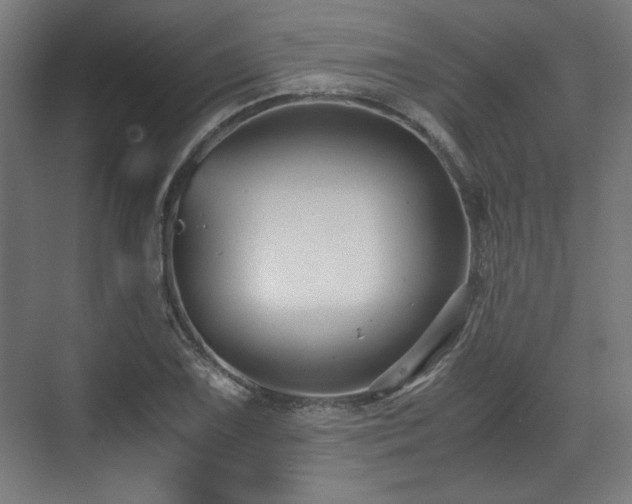 X0000071901075200607141328
