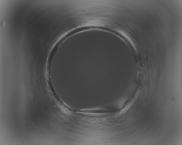 X0000071901077200607141328