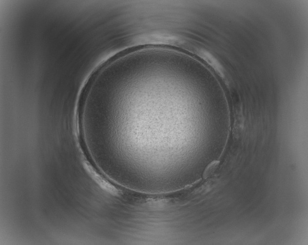 X0000071901080200607141328