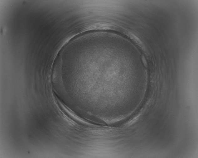X0000071901081200607141328