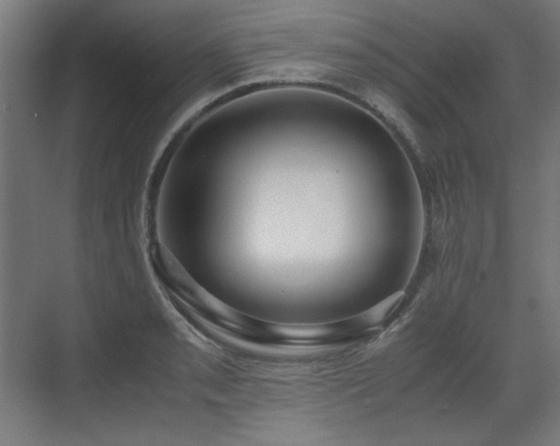 X0000071901085200607141328