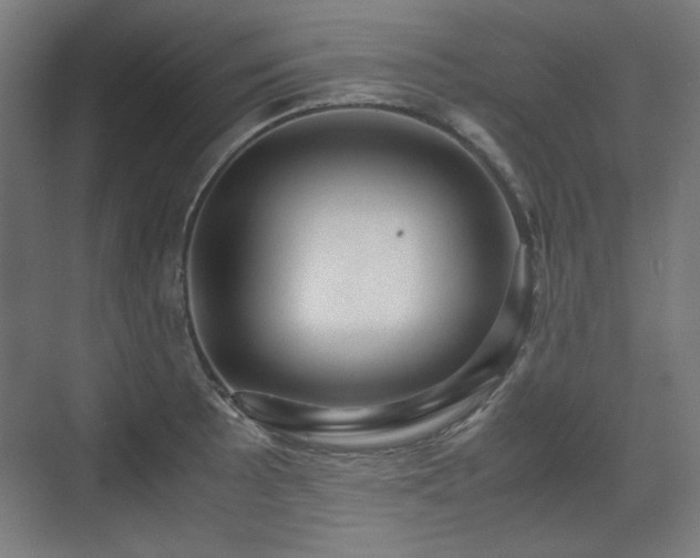 X0000071901089200607141328
