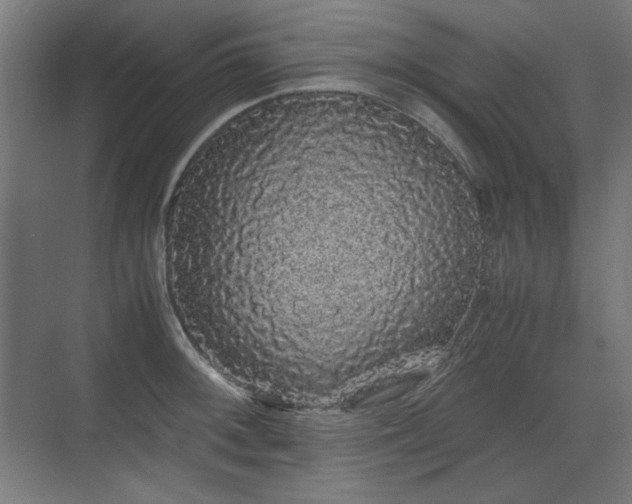 X0000071901092200607141328