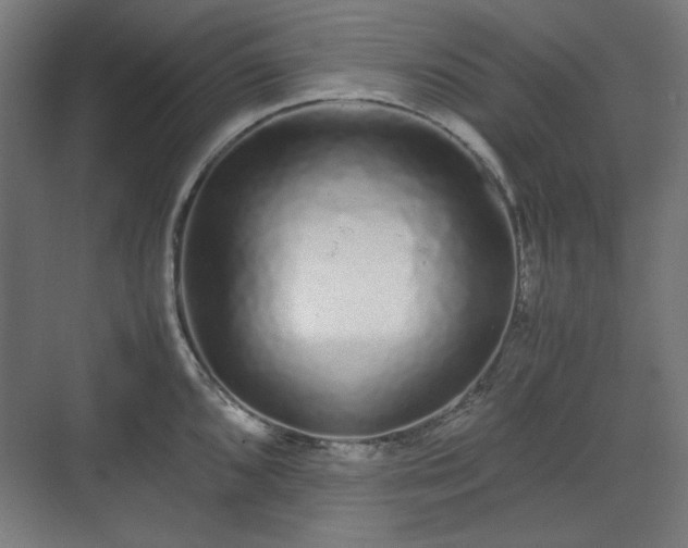 X0000071901096200607141328