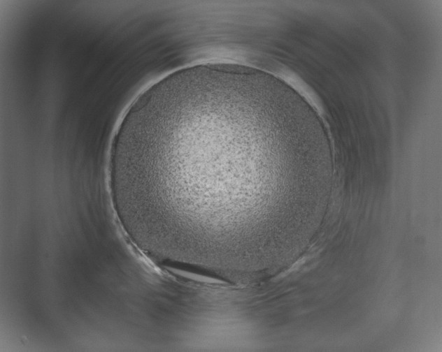 X0000071901104200607141328