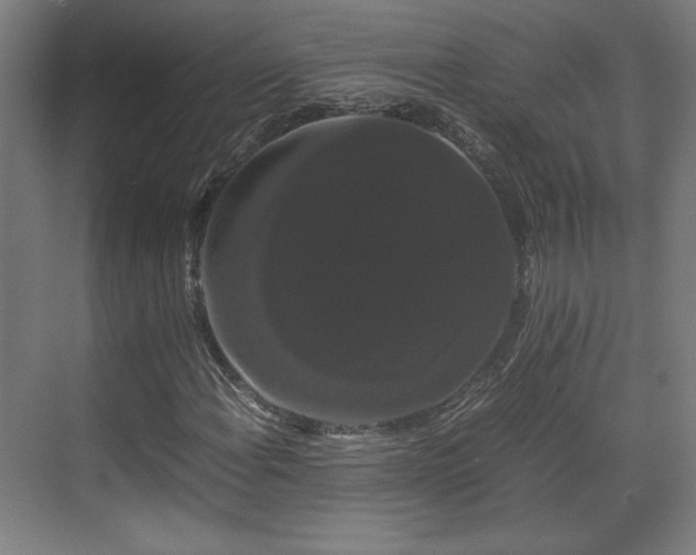 X0000071901108200607141327