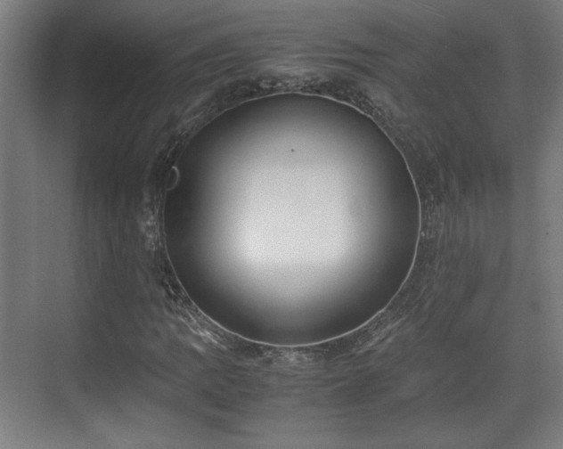 X0000071901109200607141327