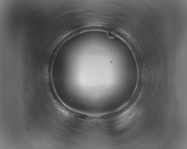 X0000071901113200607141327