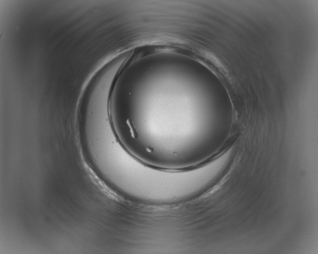 X0000071901122200607141327