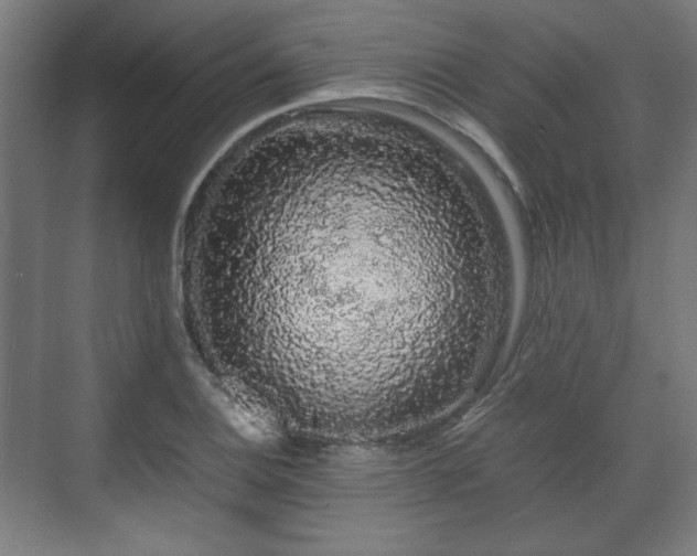 X0000071901124200607141327
