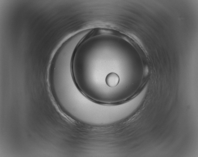 X0000071901128200607141327