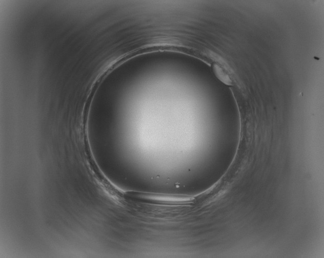 X0000071901129200607141327