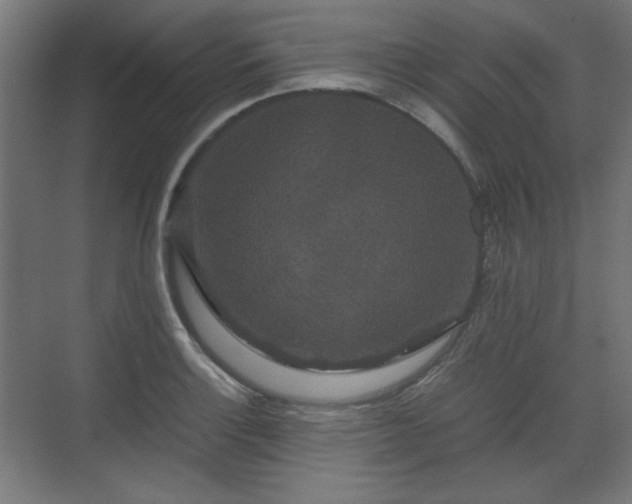 X0000071901132200607141327