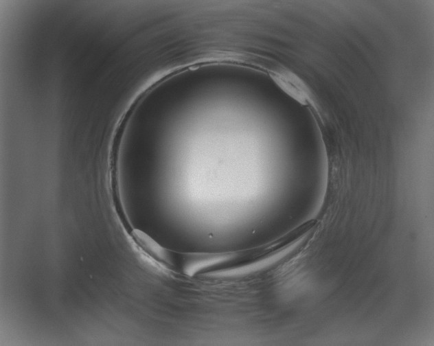 X0000071901143200607141328