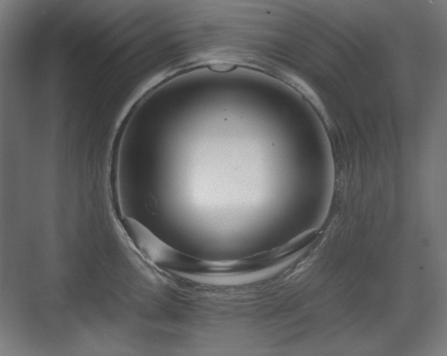 X0000071901146200607141328