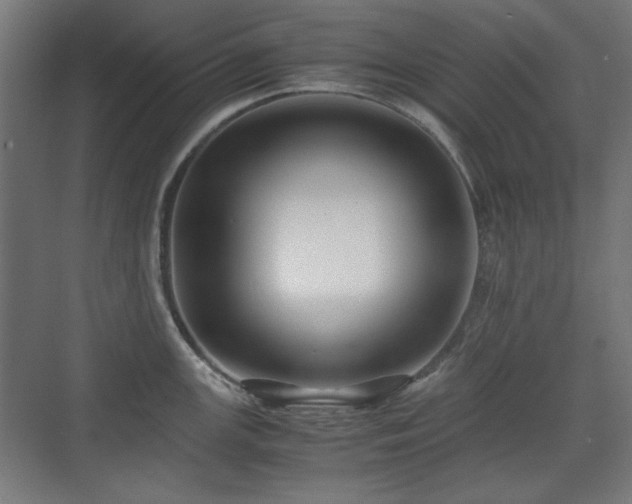 X0000071901147200607141328