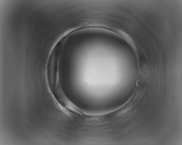 X0000071901149200607141328
