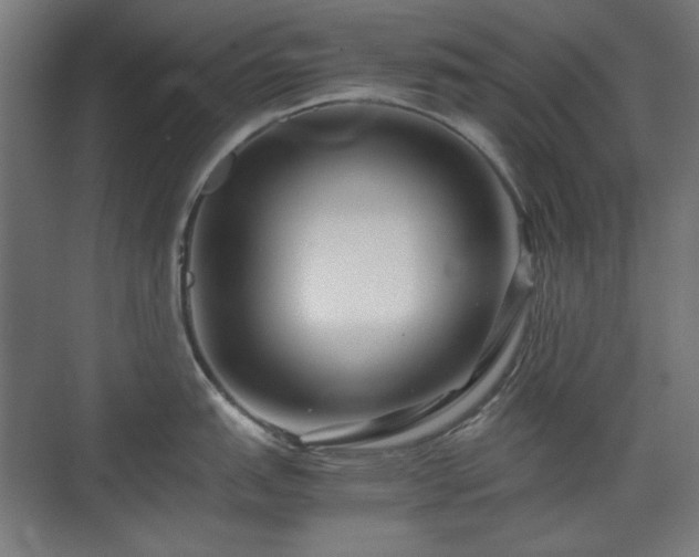 X0000071901151200607141328