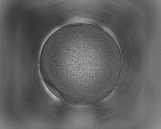 X0000071901152200607141328