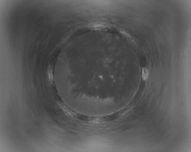X0000071901155200607141327
