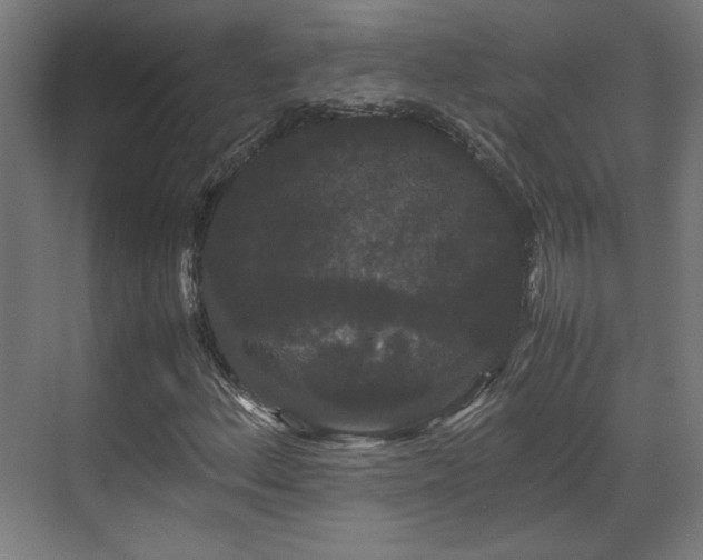 X0000071901156200607141327