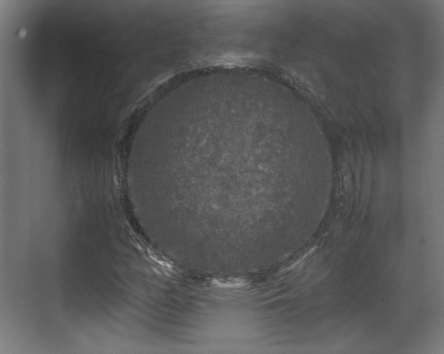 X0000071901158200607141327
