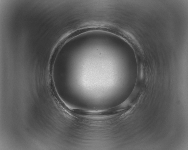 X0000071901172200607141327