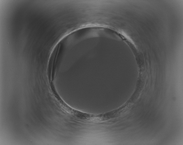 X0000071901173200607141327
