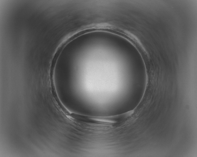 X0000071901176200607141326