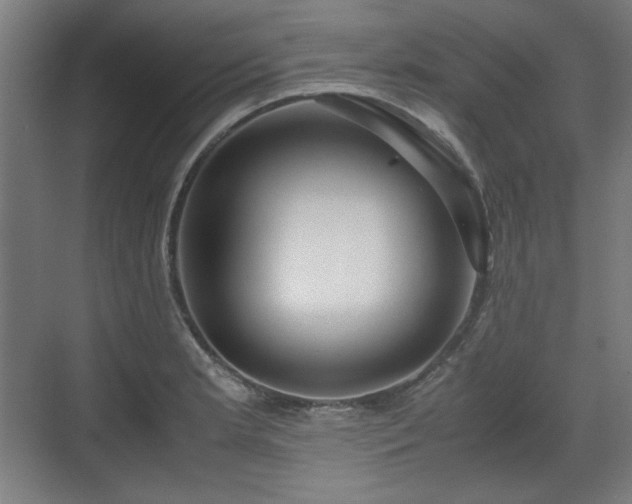 X0000071901181200607141326