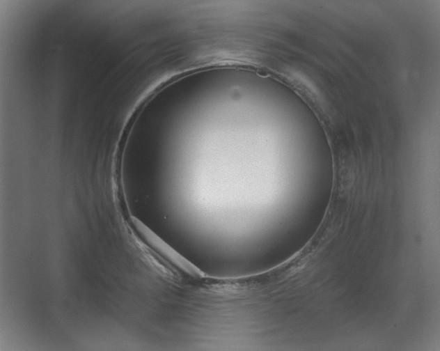 X0000071901182200607141326