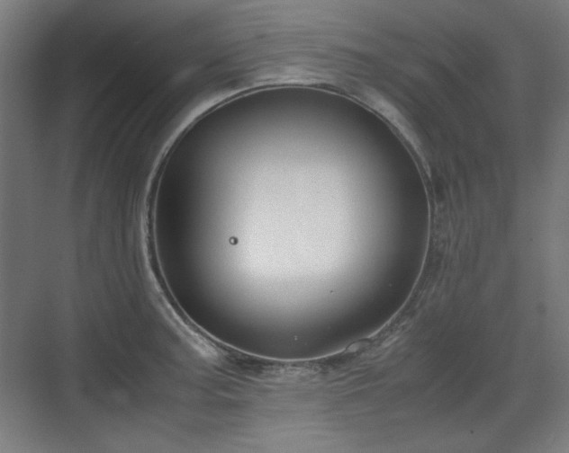 X0000071901187200607141326