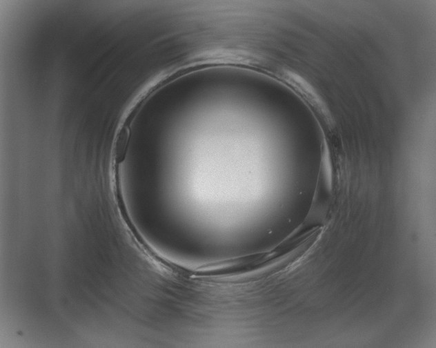 X0000071901188200607141326