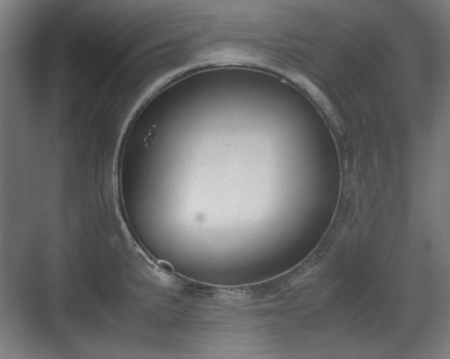 X0000071901191200607141326